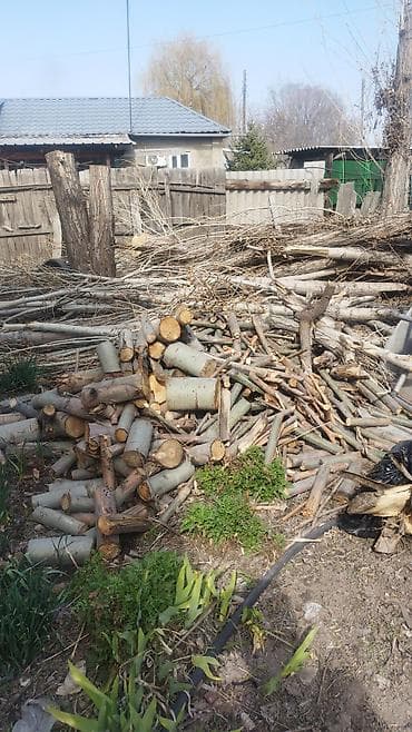 копти: Дрова Тополь — 1