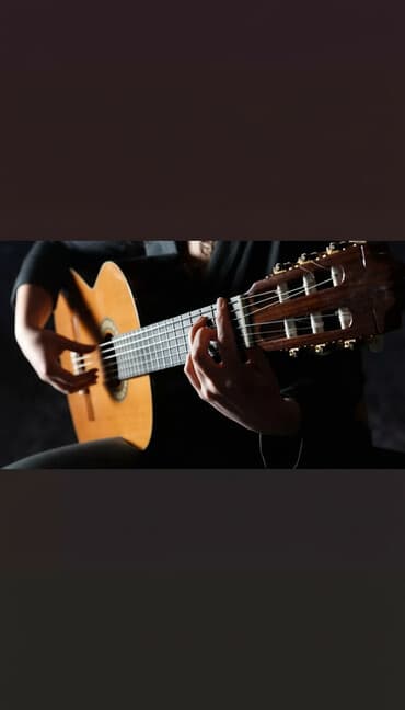 Уроки игры на гитаре Индивидуальное, С выездом на дом