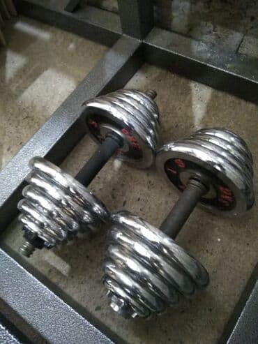 гантели для начинающих дома: Family Sport Гантели хромированные Цена за 1кг по 280 сомов В — 2