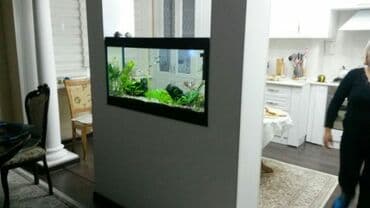 африканские сом малек: Аквариумы вашей мечты! Malawi aqua design подарите себе и детям — 4