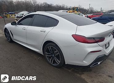 насадка для глушителя: BMW 8 series: 2020 г., 3 л, Автомат, Бензин, Купе — 8