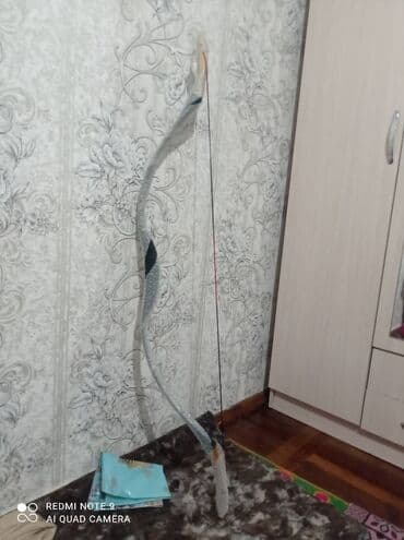 прибор ночного видения для охоты бу: Продаются стрелы для лука стрелы из стекловолокна 250 сом стрелы — 8