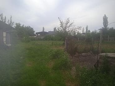 продаётся дом село сосновка: Продаётся земельный участок с жилым домом и хозяйственными — 2