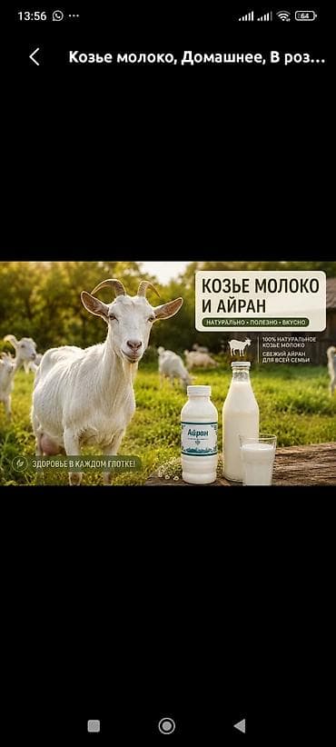 Козье молоко, Домашнее, В розницу