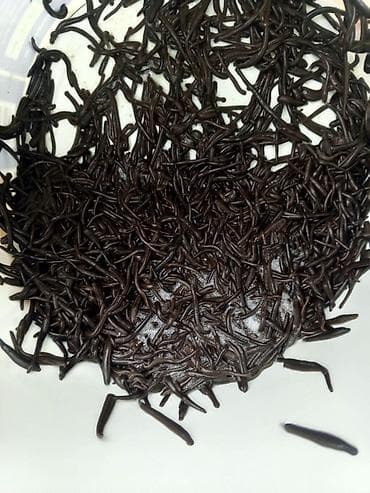 ПИЯВКИ ОПТОМ РОССИЙСКИЙ ОПТОП И РАЗНИЦА