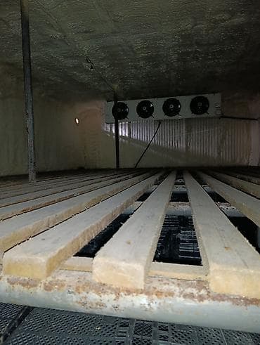 хранение: Холодильная камера, морозильные камеры /фруктохранилище с вентиляцией — 4