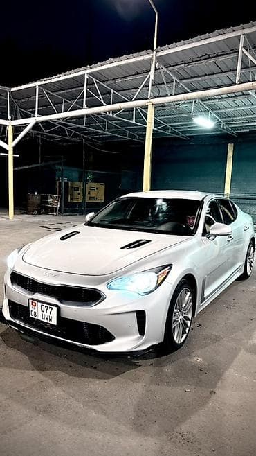 яркие: Kia Stinger: 2018 г., 2 л, Седан — 1
