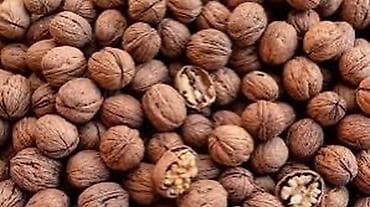 Жангак алабыз at lalafo.kg Жангак алабыз