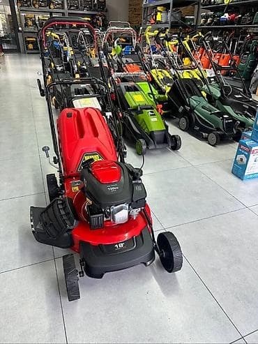 косилка электрическая ручная: Газонокосилки Смерч, Rodex, Rolf, Dmax — ассортимент для ухода за — 2