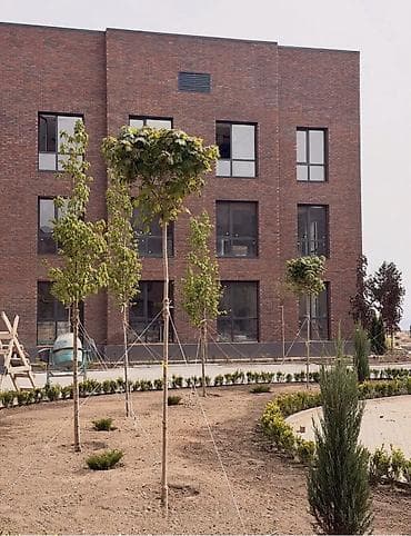 продаю квартиру элитку: 1 комната, 30 м², 3 этаж — 2
