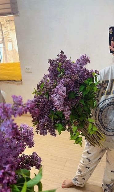 стулья в зал: Сирень – свежесрезанные букеты из собственного огорода — 1