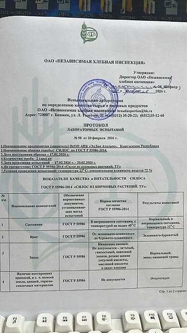 fold 4: Сапаттуу жүгөрү тоюту (силос) сатылат! Баасы — килограммы 5 сом. Аш — 2