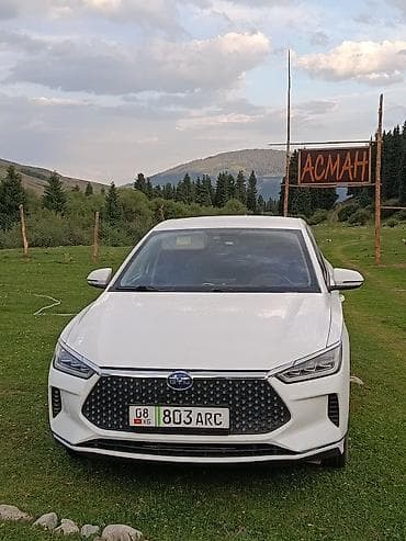 BYD: BYD Dolphin: 2020 г., Электромобиль, Хэтчбэк — 2