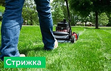 косилка плющилка: Уборка территории, Стрижка газона — 2