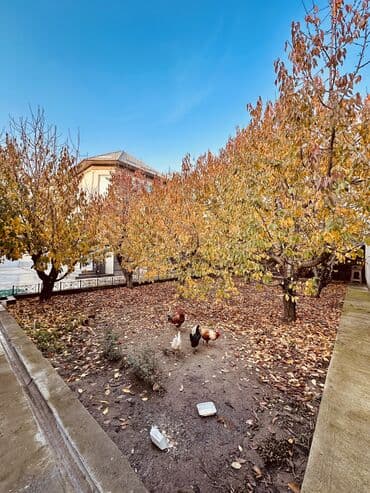 ысык ата суточные квартиры: Дом, 144 м², 6 комнат, Агентство недвижимости, Евроремонт — 4