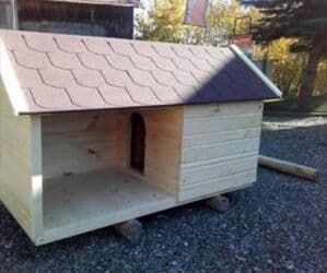 в связи с переездом отдам попугая жако в добрые руки: Будка для собаки. итке уя. домик для собак — 25