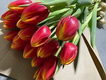 Майрамдык товарлар: 🌸 Весна уже близко 🌸 Принимаю предзаказы на свежие букеты из тюльпанов — 2