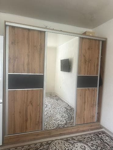 Шкаф купе, С зеркалом, Другой материал