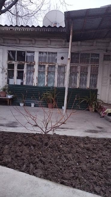 цвети: Квартирага хозяйка менен жашаганы бир кыз киши керек, жашаганы Бекер — 1