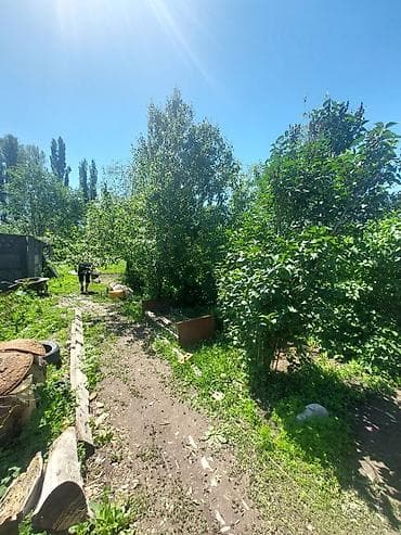 бизнес аппарат: Срочно срочно продаю участок под бизнес. Село Новопокровка, на участке — 8