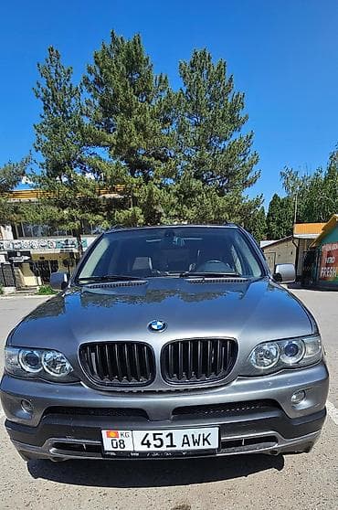 BMW: BMW X5: 2004 г., 4.4 л, Автомат, Бензин, Внедорожник — 10