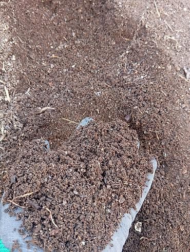 грунт в аквариум: Почвогрунт/компост для огорода и сада - Натуральный рыхлый субстрат — 1