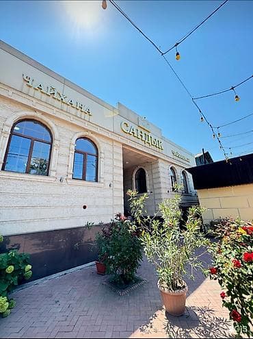 Продукты питания: Чайхана «САНДЫК» – уютное восточное заведение с атмосферным двориком и — 1