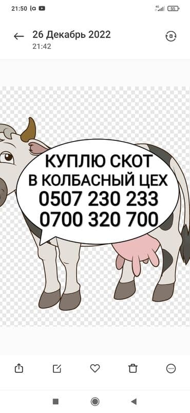 Куплю с/х животных