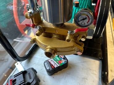 цветы бишкек комнатные: Дачачкыч безинменен 25л 2 тканый мотор Доставка по городу Доставка по — 4