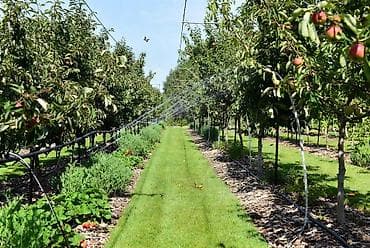 шкатулка из дерева: Автополив для газонов и садов — проектирование и монтаж под ключ - — 7