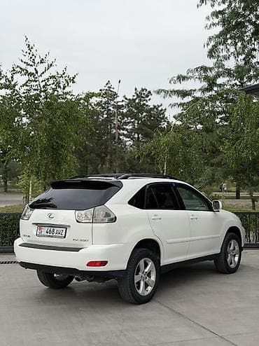 Lexus: Lexus RX: 2004 г., 3.3 л, Автомат, Бензин, Кроссовер — 4