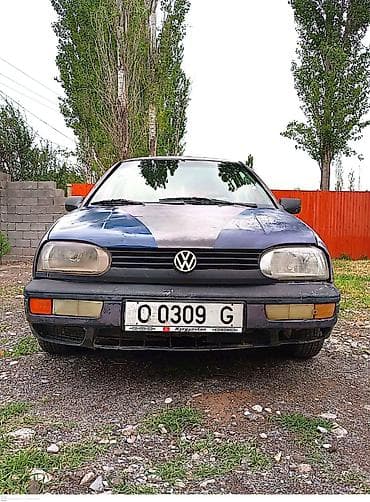 глушитель на гольф 2: Volkswagen Golf: 1995 г., 1.6 л, Механика, Бензин, Хэтчбэк — 5