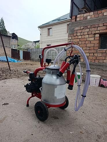 молочный машина: Продаю в идеальном состоянии турецкий доильный аппарат для — 2