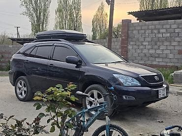 bid e2: Lexus RX: 2004 г., 3.3 л, Автомат, Бензин, Кроссовер — 1