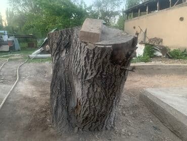 купить шкаф для папок в офис: Орешина 
Отдадим за приемлемую цену — 4