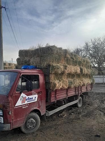 кормовая морковка: Беде сатылат договорная беде аралаш авсуг 1укос сатылат баасы — 5