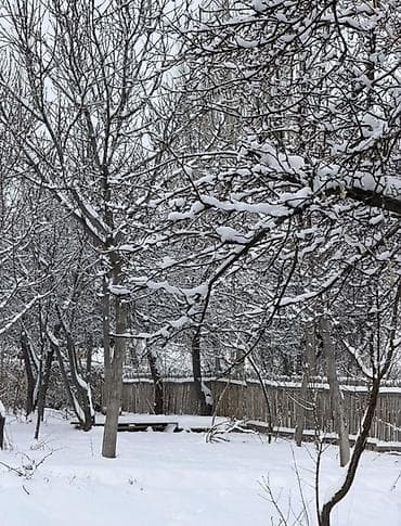 куплю участок в городе каракол: 15 соток, Для строительства, Красная книга, Тех паспорт, Договор купли-продажи — 2