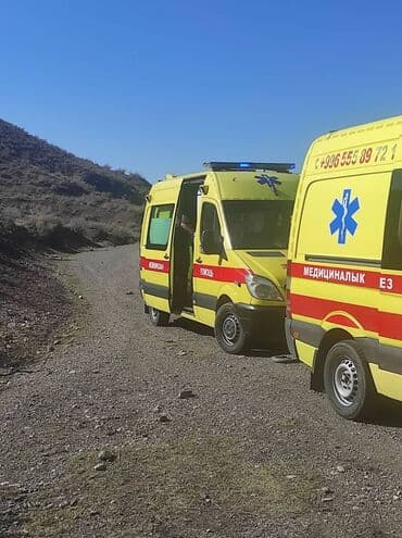 узи почек с выездом на дом: 🚑Частная скорая медицинская помощь Аалам Мед () на связи 24/7 — 2