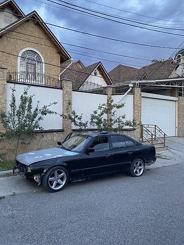 BMW 5 series: 1992 г., 2.5 л, Механика, Бензин, Седан