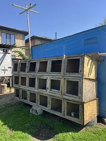 ящик сатылат: Продаю кролиятник — 1