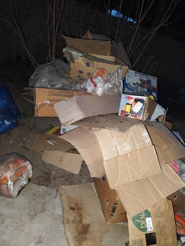 куплю саженцы плодовых деревьев в карабалта: Дрова — 6