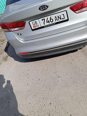 животные коровы: Продам Киа К5 — 3