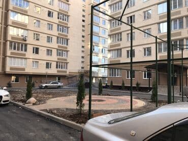 можевельник: Саженцы деревьев: Ели — 2