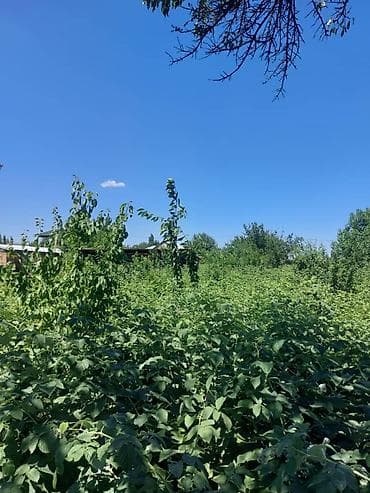 Үйлөр: СРОЧНО ПРОДАЕТСЯ ПРОСТОРНЫЙ ДОМ С БОЛЬШИМ УЧАСТКОМ В ПРЕСТИЖНОМ РАЙОНЕ — 6