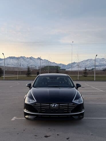 шина 235 65 16 с: Hyundai Sonata: 2020 г., 2 л, Автомат, Газ, Седан — 2