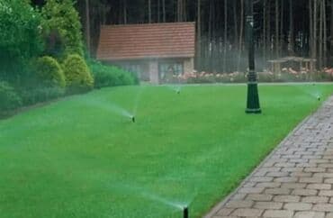 охрана ночная смена: Газон Посев Газона Натуральный газон Автополив Сеем Натуральный Газон — 3