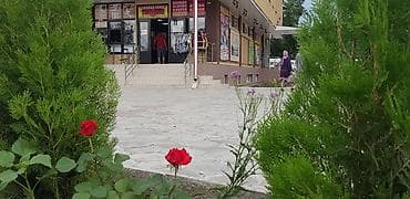 сдаю бизнес: Аренда офисов, 33 м², В бизнес центре, 1 линия — 5