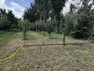чолпон ата гостевые дома: Дом, 200 м², 6 комнат, Собственник — 13