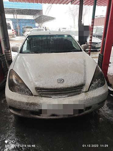 ремонт газомасляных амортизаторов: Без выезда — 1