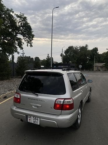 сетка для солнце: Subaru Forester: 2000 г., Автомат, Бензин, Универсал — 3